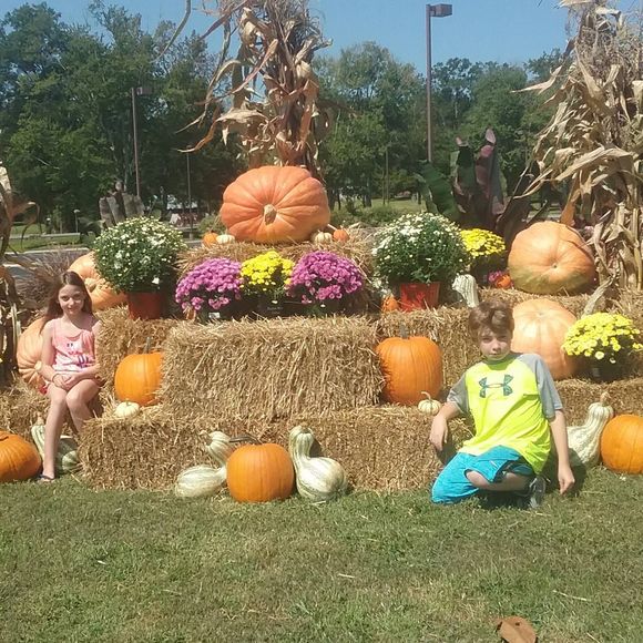 Meet your Posher, Angela - Picture 1 of 1